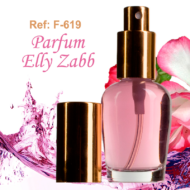 F-619 Parfum Elly Zabb Perfume Femenino Oriental Floral